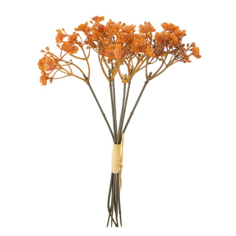 Mazzetto con fiori arancioni autunnali di gypsophila